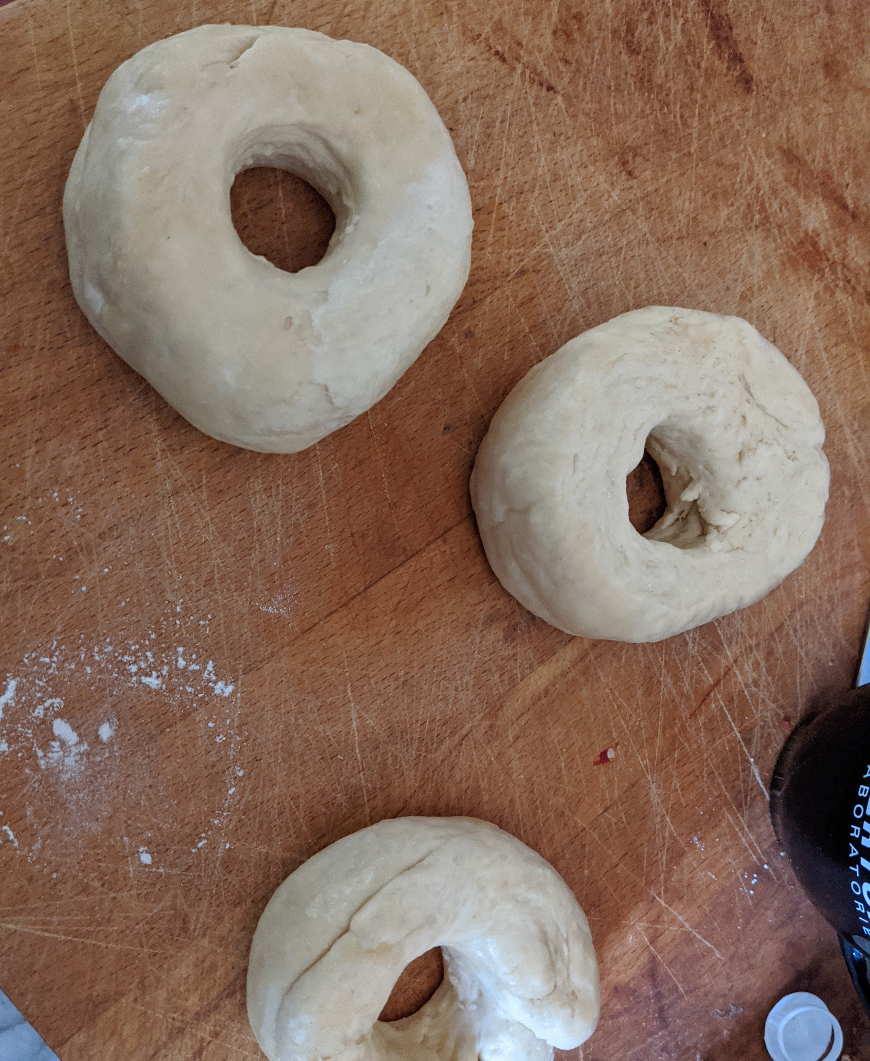 Three bagels in dough form